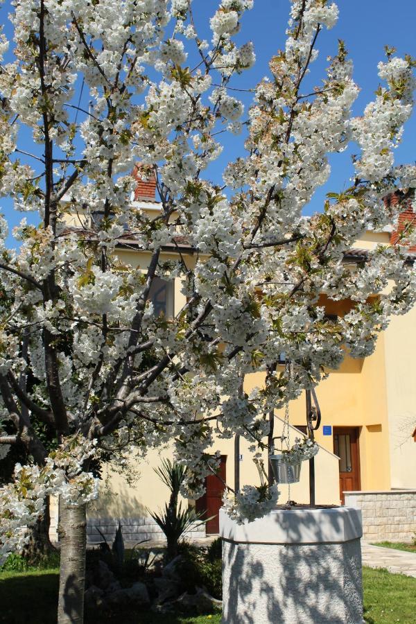 Apartment Dekovic Porec Exterior photo